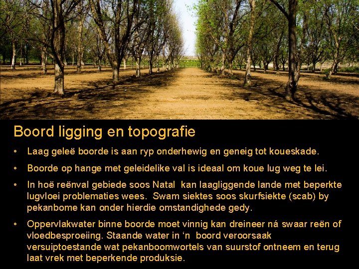 Boord ligging en topografie • Laag geleë boorde is aan ryp onderhewig en geneig Boord ligging en topografie • Laag geleë boorde is aan ryp onderhewig en geneig