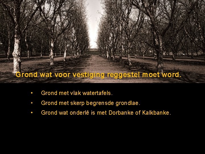 Grond wat voor vestiging reggestel moet word. • Grond met vlak watertafels. • Grond