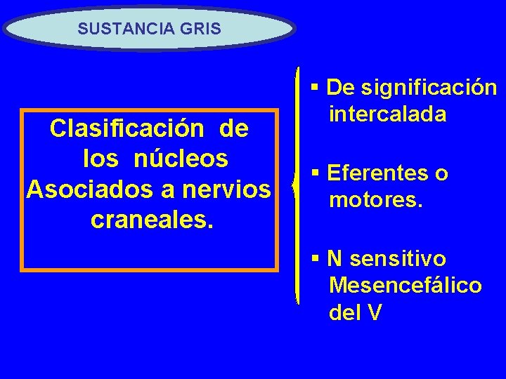 SUSTANCIA GRIS Clasificación de los núcleos Asociados a nervios craneales. § De significación intercalada
