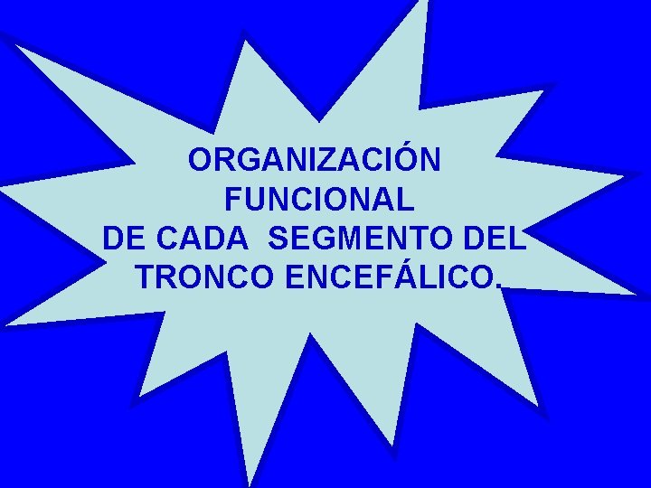 ORGANIZACIÓN FUNCIONAL DE CADA SEGMENTO DEL TRONCO ENCEFÁLICO. 