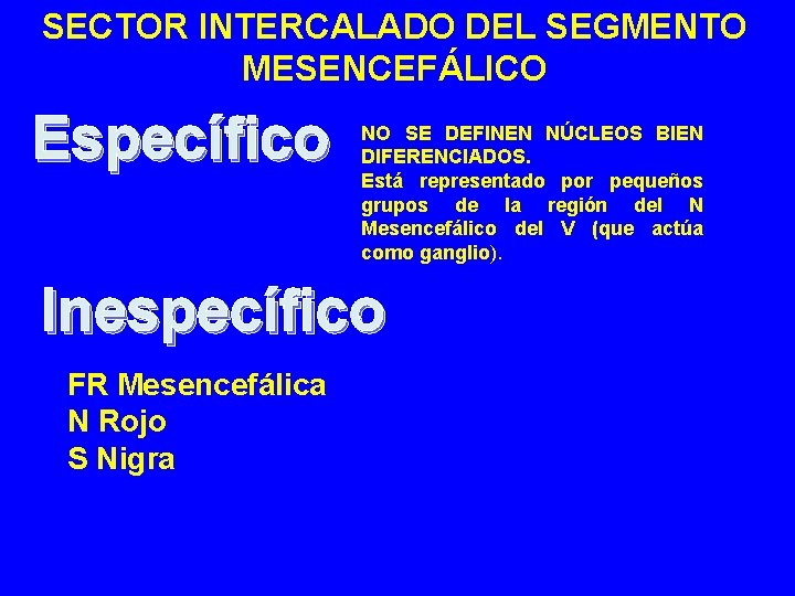 SECTOR INTERCALADO DEL SEGMENTO MESENCEFÁLICO Específico NO SE DEFINEN NÚCLEOS BIEN DIFERENCIADOS. Está representado