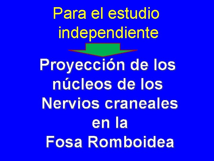 Para el estudio independiente Proyección de los núcleos de los Nervios craneales en la