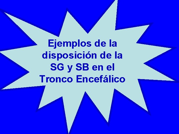 Ejemplos de la disposición de la SG y SB en el Tronco Encefálico 