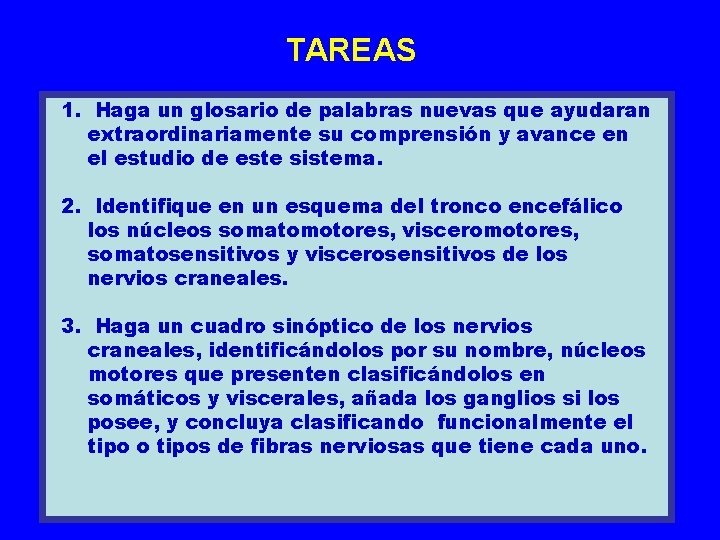 TAREAS 1. Haga un glosario de palabras nuevas que ayudaran extraordinariamente su comprensión y