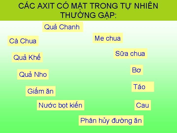 CÁC AXIT CÓ MẶT TRONG TỰ NHIÊN THƯỜNG GẶP: Quả Chanh Me chua Cà CÁC AXIT CÓ MẶT TRONG TỰ NHIÊN THƯỜNG GẶP: Quả Chanh Me chua Cà