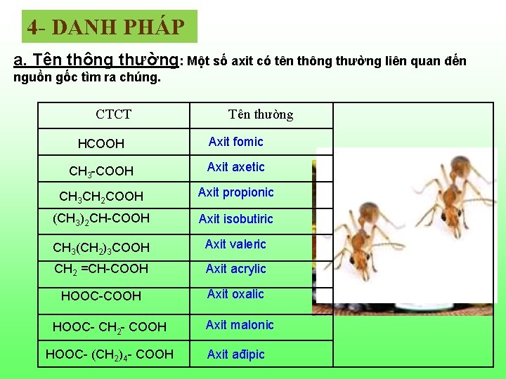 4 - DANH PHÁP a. Tên thông thường: Một số axit có tên thông 4 - DANH PHÁP a. Tên thông thường: Một số axit có tên thông