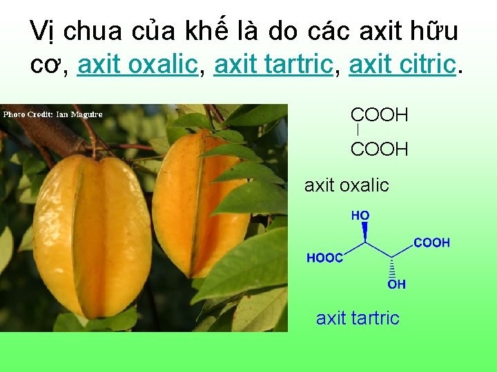 Vị chua của khế là do các axit hữu cơ, axit oxalic, axit tartric, Vị chua của khế là do các axit hữu cơ, axit oxalic, axit tartric,