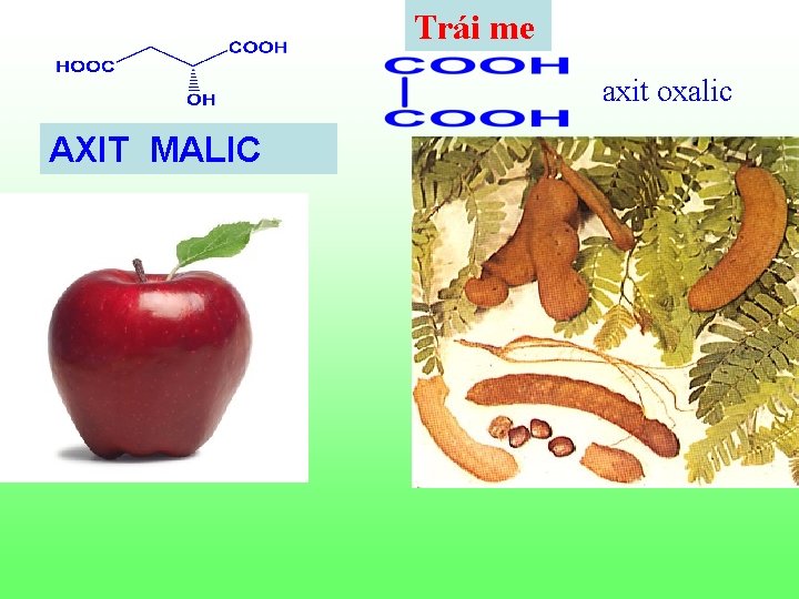 Trái me axit oxalic AXIT MALIC Trái me axit oxalic AXIT MALIC