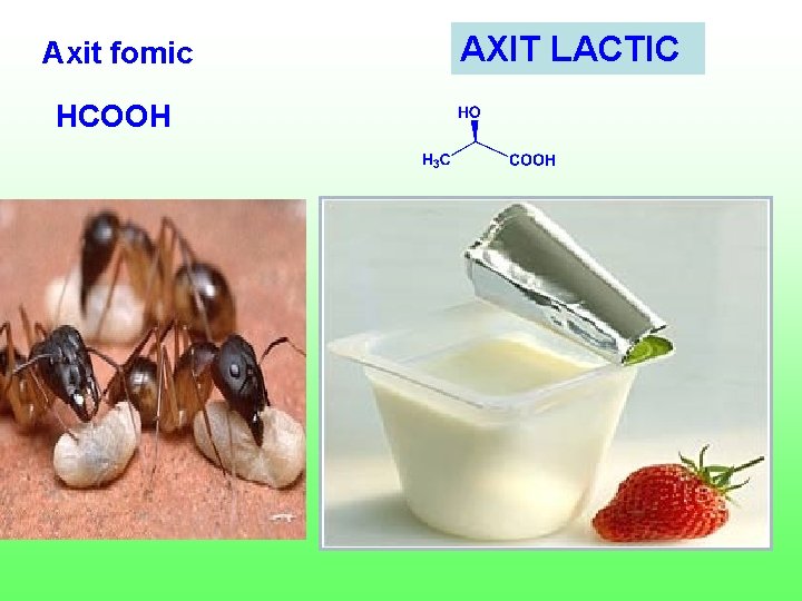 Axit fomic HCOOH AXIT LACTIC Axit fomic HCOOH AXIT LACTIC