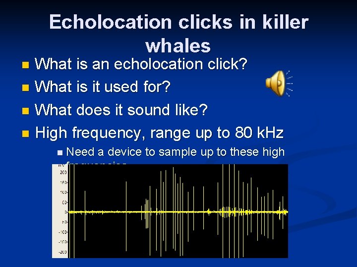 Echolocation clicks in killer whales What is an echolocation click? n What is it
