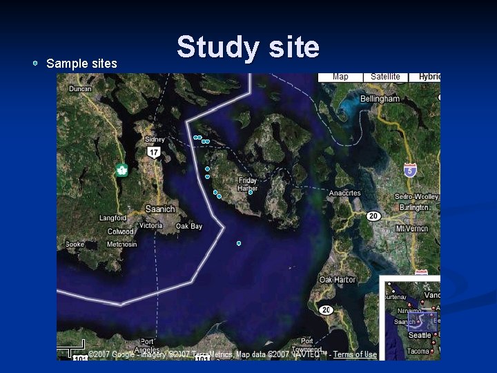 Sample sites Study site 
