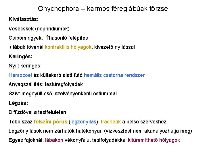 Onychophora – karmos féreglábúak törzse Kiválasztás: Vesécskék (nephridiumok) Csípőmirigyek: hasonló felépítés + lábak tövénél