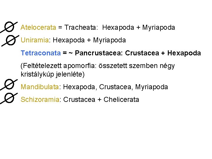 Atelocerata = Tracheata: Hexapoda + Myriapoda Uniramia: Hexapoda + Myriapoda Tetraconata = ~ Pancrustacea: