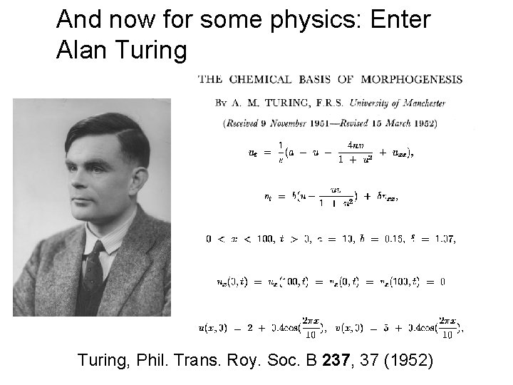 And now for some physics: Enter Alan Turing, Phil. Trans. Roy. Soc. B 237,