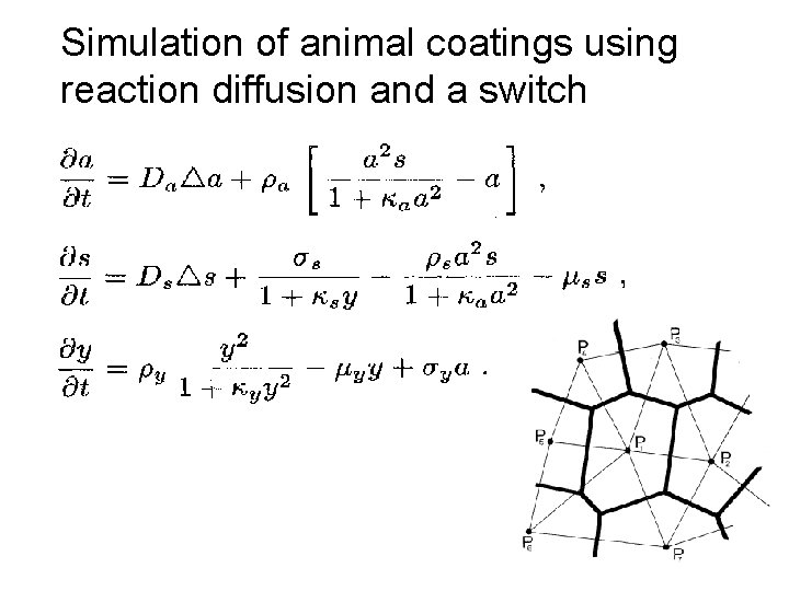 Simulation of animal coatings using reaction diffusion and a switch 