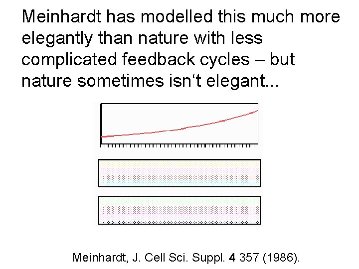 Meinhardt has modelled this much more elegantly than nature with less complicated feedback cycles