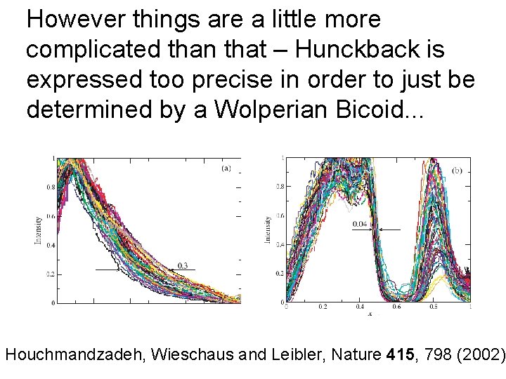 However things are a little more complicated than that – Hunckback is expressed too