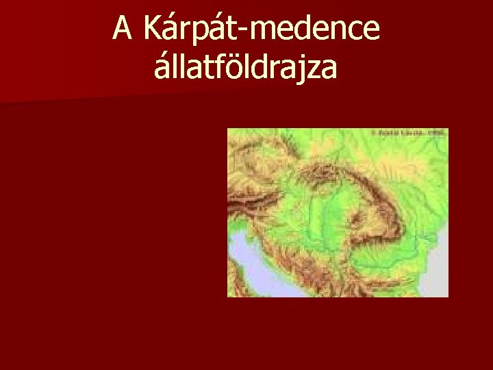 A Kárpát-medence állatföldrajza 