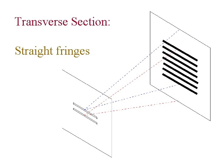 Transverse Section: Straight fringes 