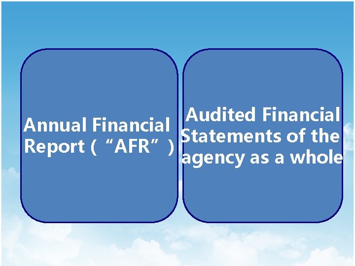 Audited Financial Annual Financial Statements of the Report (“AFR”) agency as a whole 