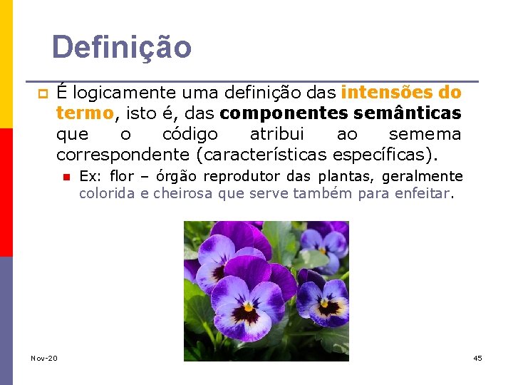 Definição p É logicamente uma definição das intensões do termo, isto é, das componentes