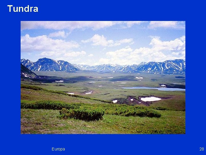 Tundra Europa 28 