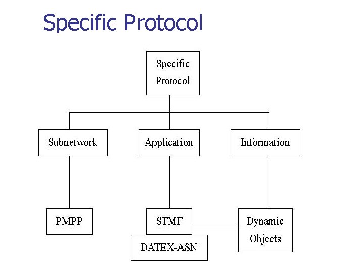 Specific Protocol 