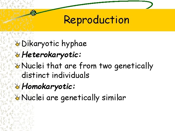 Reproduction Dikaryotic hyphae Heterokaryotic: Nuclei that are from two genetically distinct individuals Homokaryotic: Nuclei
