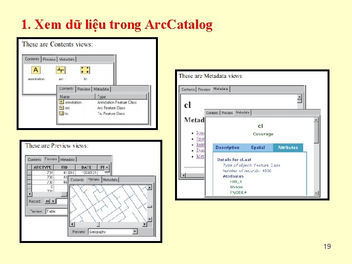 1. Xem dữ liệu trong Arc. Catalog 19 