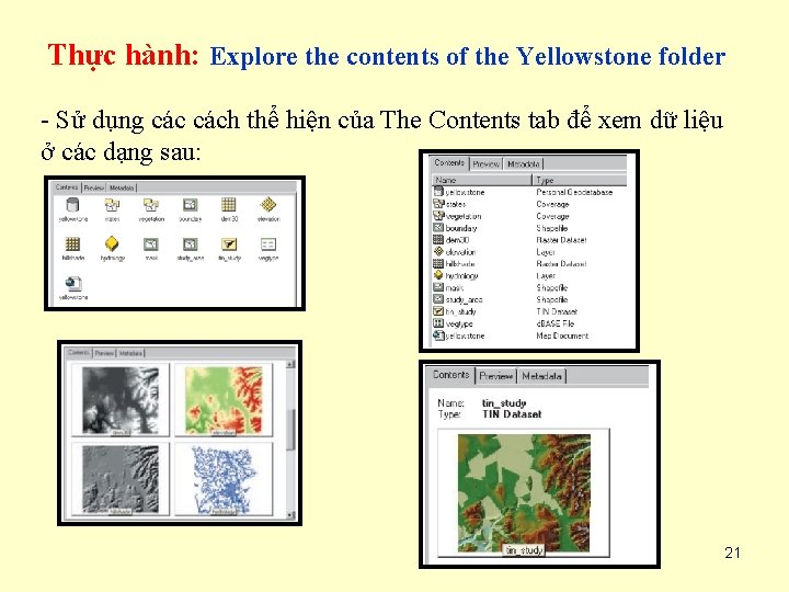 Thực hành: Explore the contents of the Yellowstone folder - Sử dụng cách thể