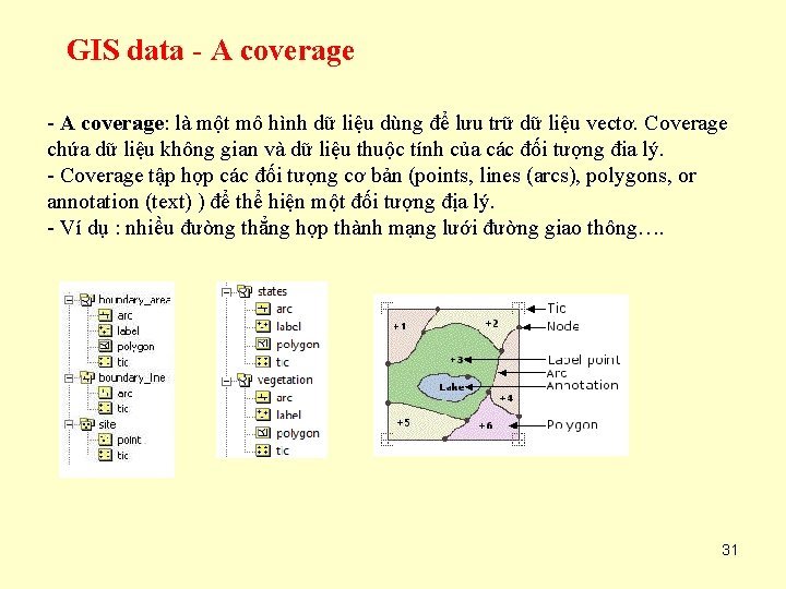 GIS data - A coverage: là một mô hình dữ liệu dùng để lưu