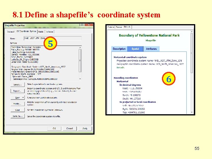 8. 1 Define a shapefile’s coordinate system 5 6 55 