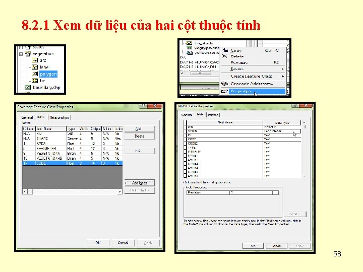 8. 2. 1 Xem dữ liệu của hai cột thuộc tính 58 