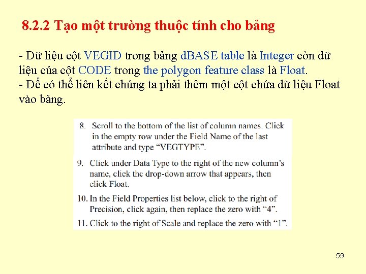 8. 2. 2 Tạo một trường thuộc tính cho bảng - Dữ liệu cột