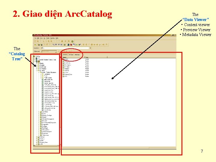 2. Giao diện Arc. Catalog The “Data Viewer” • Content viewer • Preview Viewer