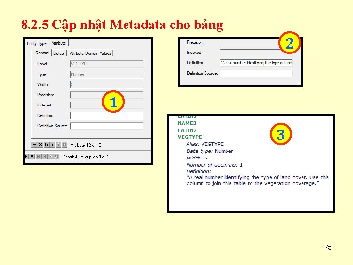 8. 2. 5 Cập nhật Metadata cho bảng 2 1 3 75 