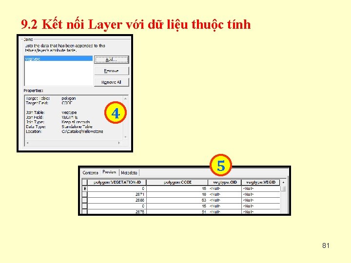 9. 2 Kết nối Layer với dữ liệu thuộc tính 4 5 81 