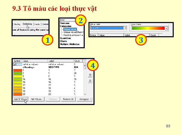 9. 3 Tô màu các loại thực vật 2 1 3 4 83 