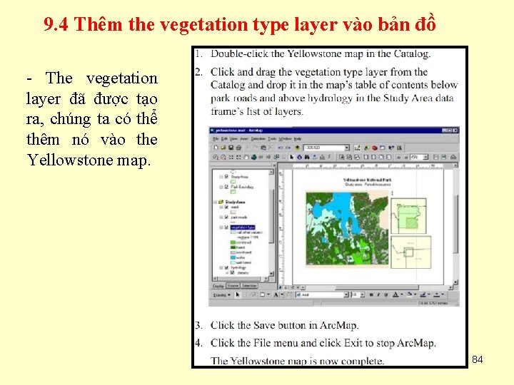 9. 4 Thêm the vegetation type layer vào bản đồ - The vegetation layer