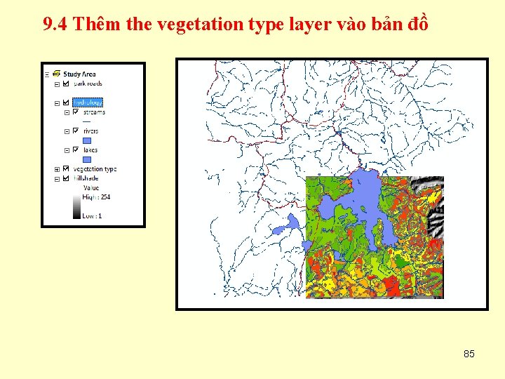 9. 4 Thêm the vegetation type layer vào bản đồ 85 