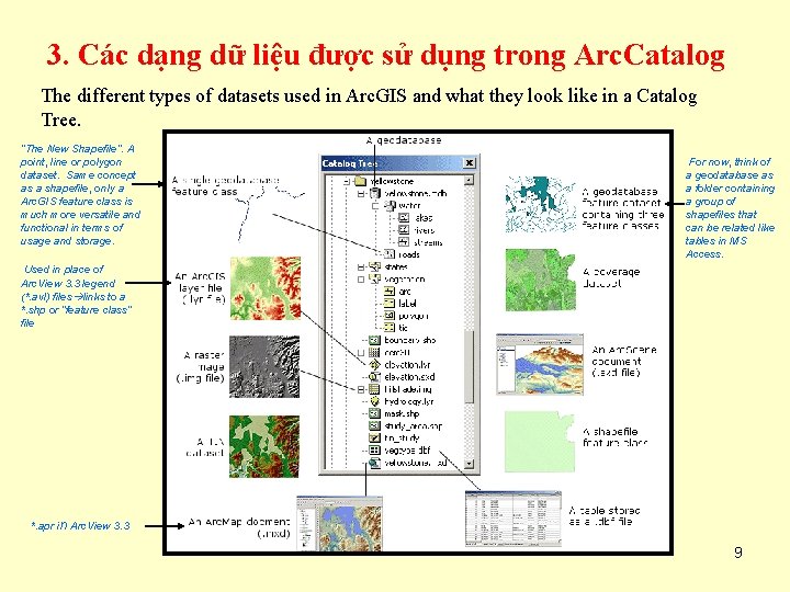 3. Các dạng dữ liệu được sử dụng trong Arc. Catalog The different types