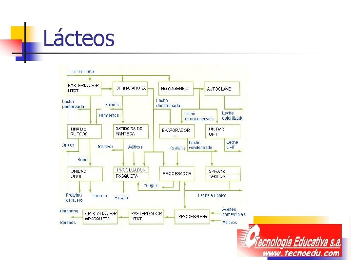 Lácteos Lácteos