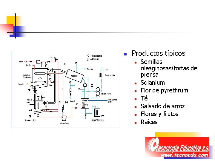 n Productos típicos n n n n Semillas oleaginosas/tortas de prensa Solanium Flor de n Productos típicos n n n n Semillas oleaginosas/tortas de prensa Solanium Flor de