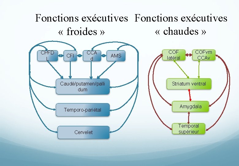 Fonctions exécutives « chaudes » « froides » CPFD L CFI CCA d Caudé/putamen/palli