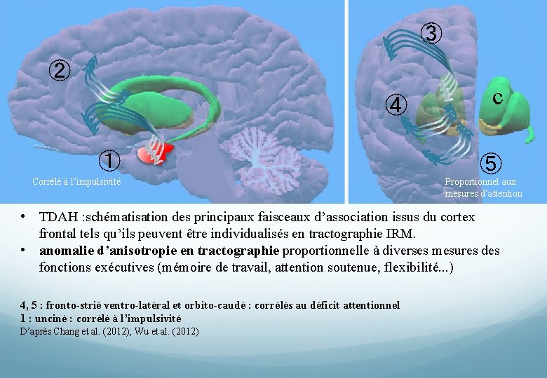 ③ ② ④ ① Corrélé à l’impulsivité c ⑤ Proportionnel aux mesures d’attention •