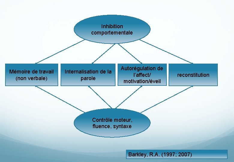 Inhibition comportementale Mémoire de travail (non verbale) Internalisation de la parole Autorégulation de l’affect/