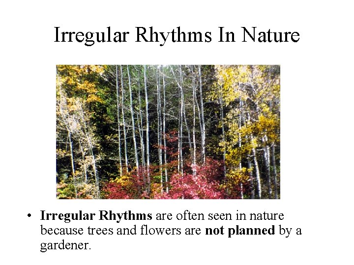 Irregular Rhythms In Nature • Irregular Rhythms are often seen in nature because trees