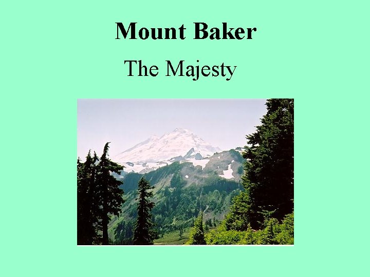 Mount Baker The Majesty 