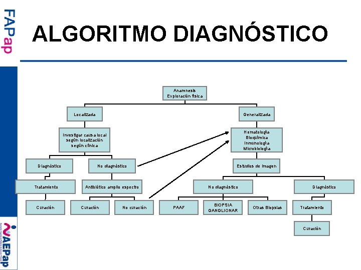 ALGORITMO DIAGNÓSTICO Anamnesis Exploración física Diagnóstico Tratamiento Curación Localizada Generalizada Investigar causa local según