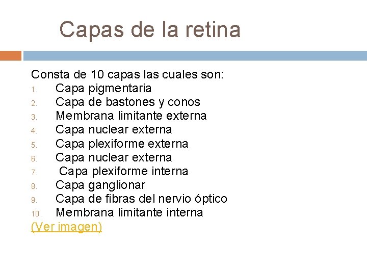 Capas de la retina Consta de 10 capas las cuales son: 1. Capa Capas de la retina Consta de 10 capas las cuales son: 1. Capa